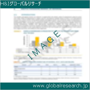 グローバルリサーチ調査レポートのイメージ